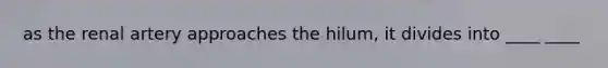 as the renal artery approaches the hilum, it divides into ____ ____