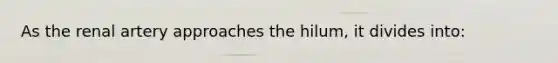 As the renal artery approaches the hilum, it divides into: