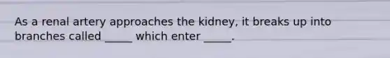 As a renal artery approaches the kidney, it breaks up into branches called _____ which enter _____.