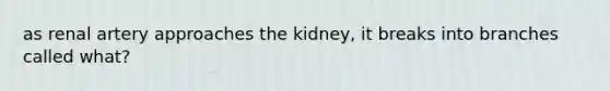 as renal artery approaches the kidney, it breaks into branches called what?