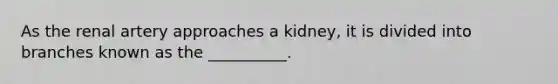 As the renal artery approaches a kidney, it is divided into branches known as the __________.