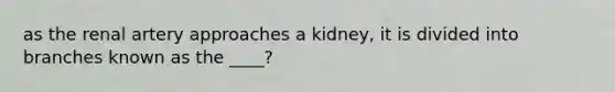 as the renal artery approaches a kidney, it is divided into branches known as the ____?