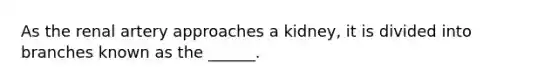 As the renal artery approaches a kidney, it is divided into branches known as the ______.