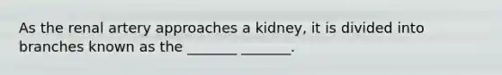 As the renal artery approaches a kidney, it is divided into branches known as the _______ _______.