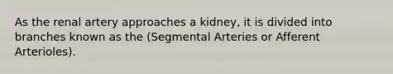 As the renal artery approaches a kidney, it is divided into branches known as the (Segmental Arteries or Afferent Arterioles).