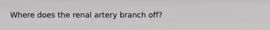 Where does the renal artery branch off?