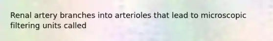 Renal artery branches into arterioles that lead to microscopic filtering units called