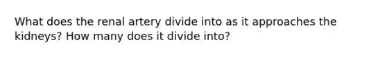 What does the renal artery divide into as it approaches the kidneys? How many does it divide into?