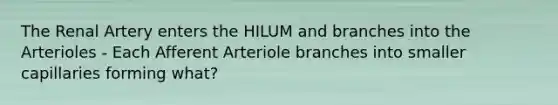 The Renal Artery enters the HILUM and branches into the Arterioles - Each Afferent Arteriole branches into smaller capillaries forming what?