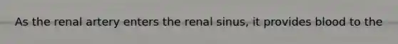 As the renal artery enters the renal sinus, it provides blood to the