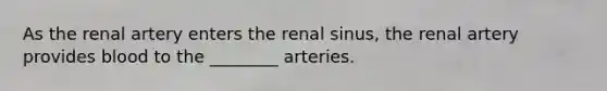 As the renal artery enters the renal sinus, the renal artery provides blood to the ________ arteries.