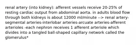 renal artery (into kidney): afferent vessels receive 20-25% of resting cardiac output from abdominal aorta. in adults blood flow through both kidneys is about 12000 ml/minute --> renal artery- segmental arteries-interlobar arteries-arcuate arteries-afferent arterioles -each nephron receives 1 afferent arteriole which divides into a tangled ball-shaped capillary network called the glomerulus*