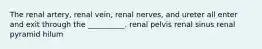 The renal artery, renal vein, renal nerves, and ureter all enter and exit through the __________. renal pelvis renal sinus renal pyramid hilum