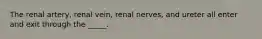 The renal artery, renal vein, renal nerves, and ureter all enter and exit through the _____.