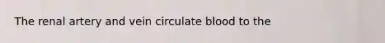 The renal artery and vein circulate blood to the