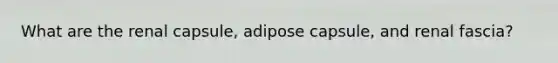 What are the renal capsule, adipose capsule, and renal fascia?