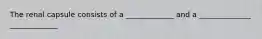 The renal capsule consists of a _____________ and a ______________ _____________