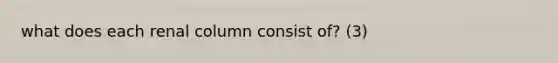 what does each renal column consist of? (3)