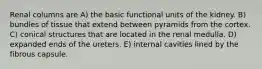 Renal columns are A) the basic functional units of the kidney. B) bundles of tissue that extend between pyramids from the cortex. C) conical structures that are located in the renal medulla. D) expanded ends of the ureters. E) internal cavities lined by the fibrous capsule.