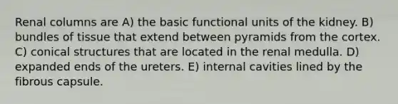 Renal columns are A) the basic functional units of the kidney. B) bundles of tissue that extend between pyramids from the cortex. C) conical structures that are located in the renal medulla. D) expanded ends of the ureters. E) internal cavities lined by the fibrous capsule.