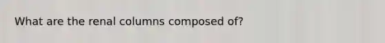 What are the renal columns composed of?