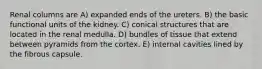 Renal columns are A) expanded ends of the ureters. B) the basic functional units of the kidney. C) conical structures that are located in the renal medulla. D) bundles of tissue that extend between pyramids from the cortex. E) internal cavities lined by the fibrous capsule.