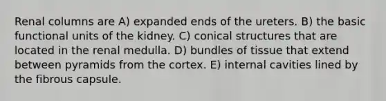 Renal columns are A) expanded ends of the ureters. B) the basic functional units of the kidney. C) conical structures that are located in the renal medulla. D) bundles of tissue that extend between pyramids from the cortex. E) internal cavities lined by the fibrous capsule.