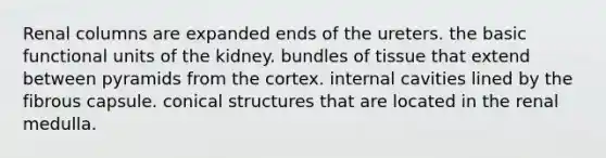 Renal columns are expanded ends of the ureters. the basic functional units of the kidney. bundles of tissue that extend between pyramids from the cortex. internal cavities lined by the fibrous capsule. conical structures that are located in the renal medulla.