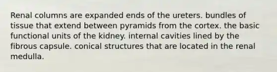 Renal columns are expanded ends of the ureters. bundles of tissue that extend between pyramids from the cortex. the basic functional units of the kidney. internal cavities lined by the fibrous capsule. conical structures that are located in the renal medulla.