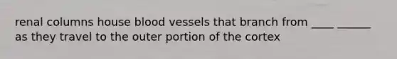 renal columns house blood vessels that branch from ____ ______ as they travel to the outer portion of the cortex