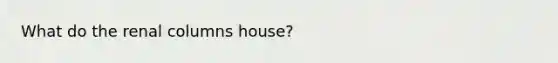 What do the renal columns house?