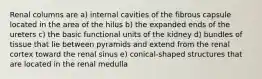 Renal columns are a) internal cavities of the fibrous capsule located in the area of the hilus b) the expanded ends of the ureters c) the basic functional units of the kidney d) bundles of tissue that lie between pyramids and extend from the renal cortex toward the renal sinus e) conical-shaped structures that are located in the renal medulla