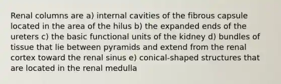 Renal columns are a) internal cavities of the fibrous capsule located in the area of the hilus b) the expanded ends of the ureters c) the basic functional units of the kidney d) bundles of tissue that lie between pyramids and extend from the renal cortex toward the renal sinus e) conical-shaped structures that are located in the renal medulla