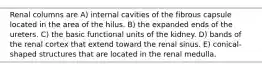 Renal columns are A) internal cavities of the fibrous capsule located in the area of the hilus. B) the expanded ends of the ureters. C) the basic functional units of the kidney. D) bands of the renal cortex that extend toward the renal sinus. E) conical-shaped structures that are located in the renal medulla.