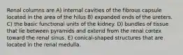 Renal columns are A) internal cavities of the fibrous capsule located in the area of the hilus B) expanded ends of the ureters. C) the basic functional units of the kidney. D) bundles of tissue that lie between pyramids and extend from the renal cortex toward the renal sinus. E) conical-shaped structures that are located in the renal medulla.