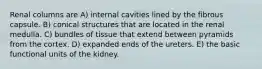 Renal columns are A) internal cavities lined by the fibrous capsule. B) conical structures that are located in the renal medulla. C) bundles of tissue that extend between pyramids from the cortex. D) expanded ends of the ureters. E) the basic functional units of the kidney.