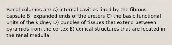 Renal columns are A) internal cavities lined by the fibrous capsule B) expanded ends of the ureters C) the basic functional units of the kidney D) bundles of tissues that extend between pyramids from the cortex E) conical structures that are located in the renal medulla