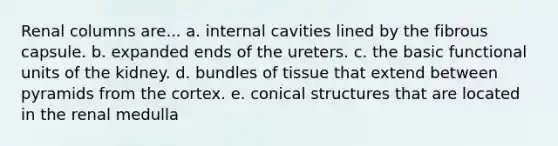 Renal columns are... a. internal cavities lined by the fibrous capsule. b. expanded ends of the ureters. c. the basic functional units of the kidney. d. bundles of tissue that extend between pyramids from the cortex. e. conical structures that are located in the renal medulla