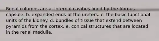 Renal columns are a. internal cavities lined by the fibrous capsule. b. expanded ends of the ureters. c. the basic functional units of the kidney. d. bundles of tissue that extend between pyramids from the cortex. e. conical structures that are located in the renal medulla.