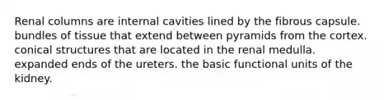 Renal columns are internal cavities lined by the fibrous capsule. bundles of tissue that extend between pyramids from the cortex. conical structures that are located in the renal medulla. expanded ends of the ureters. the basic functional units of the kidney.