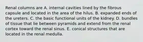 Renal columns are A. internal cavities lined by the fibrous capsule and located in the area of the hilus. B. expanded ends of the ureters. C. the basic functional units of the kidney. D. bundles of tissue that lie between pyramids and extend from the renal cortex toward the renal sinus. E. conical structures that are located in the renal medulla.