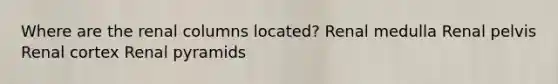 Where are the renal columns located? Renal medulla Renal pelvis Renal cortex Renal pyramids