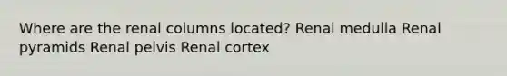 Where are the renal columns located? Renal medulla Renal pyramids Renal pelvis Renal cortex