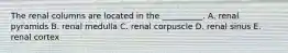 The renal columns are located in the __________. A. renal pyramids B. renal medulla C. renal corpuscle D. renal sinus E. renal cortex