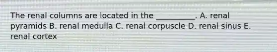 The renal columns are located in the __________. A. renal pyramids B. renal medulla C. renal corpuscle D. renal sinus E. renal cortex