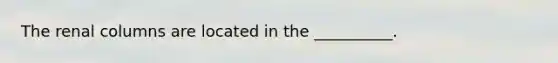 The renal columns are located in the __________.