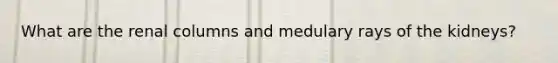 What are the renal columns and medulary rays of the kidneys?