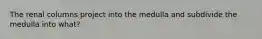 The renal columns project into the medulla and subdivide the medulla into what?
