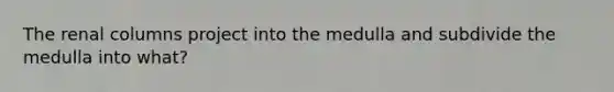 The renal columns project into the medulla and subdivide the medulla into what?