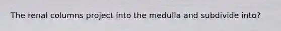 The renal columns project into the medulla and subdivide into?